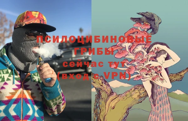 мяу мяу мука Белокуриха