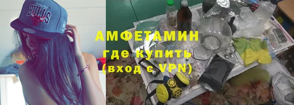 сатива Беломорск