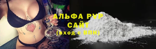 сатива Беломорск
