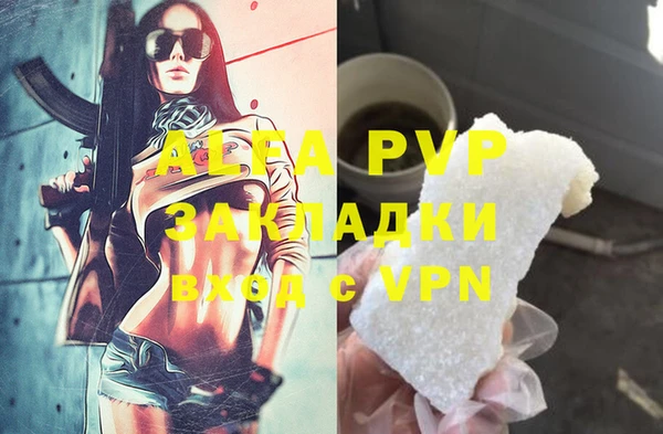 сатива Беломорск