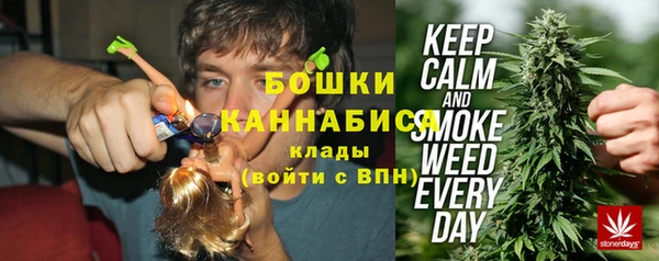 apvp Богданович