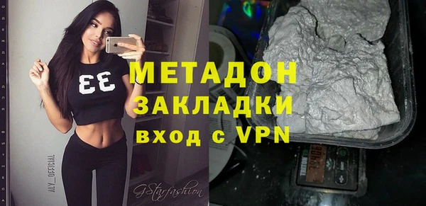сатива Беломорск