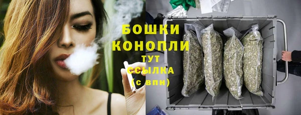 мяу мяу мука Белокуриха