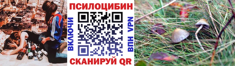 Галлюциногенные грибы Magic Shrooms  кракен   Ершов  купить наркотик 